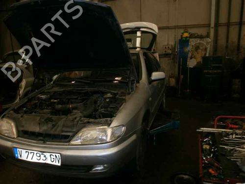 Rear right seatbelt CITROËN XSARA (N1)  | BP6617052I28 