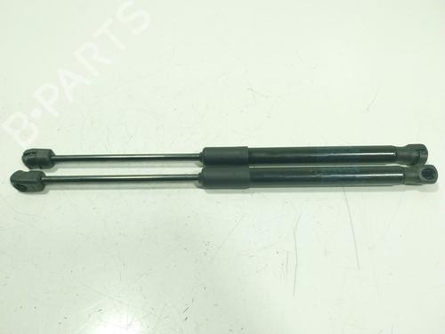 hood-lift-support-bmw-z4-roadster-g29-2018-33202929 main image