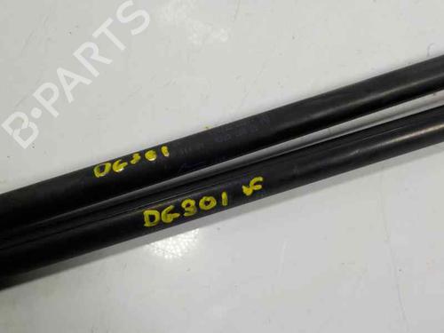 Tailgate lift support FORD FIESTA V (JH_, JD_) 1.4 TDCi | BP14285121C138 