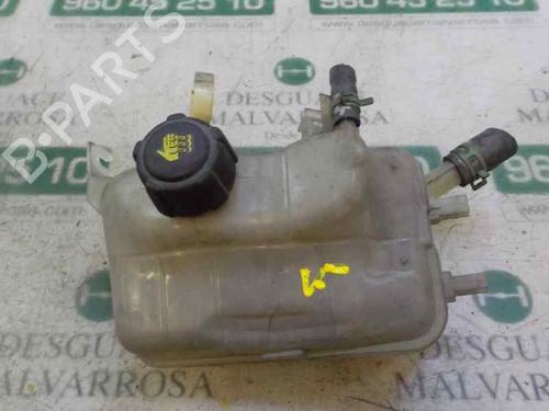 expansion-tank-renault-scenic-iii-jz01_-2008-2009-2010-2011-2012-2013-2014-2015-2016-5957501 main image