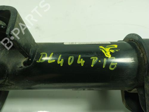 Left front shock absorber FORD KUGA III (DFK)  | BP16913102M16 