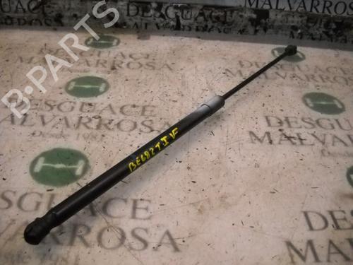 Used Tailgate lift support OPEL CORSA D (S07) 1.3 CDTI (L08, L68) (75 hp) 14266702