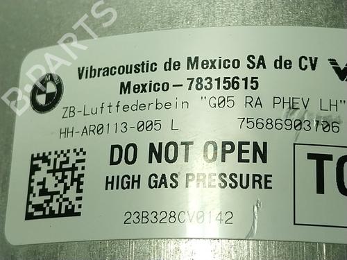 Left rear shock absorber BMW X5 (G05, F95) xDrive 40 d Mild-Hybrid | BP29824071M18