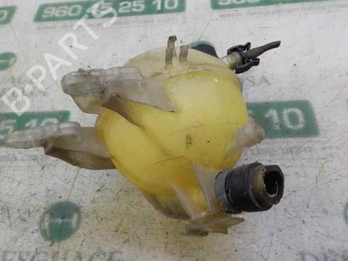 Expansion tank PEUGEOT 208 I (CA_, CC_) 1.6 BlueHDi 100 | BP6509195C120 