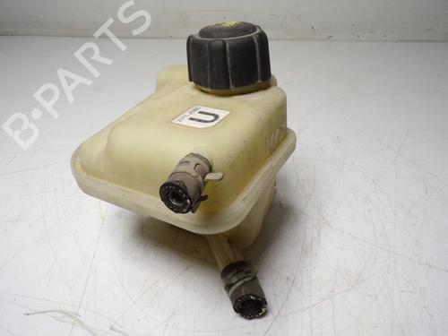 Expansion tank NISSAN QASHQAI I (J10, NJ10)  | BP13418779C120 