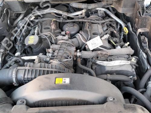  - Image 6