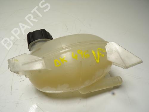 Expansion tank DACIA SANDERO II  | BP12119347C120 