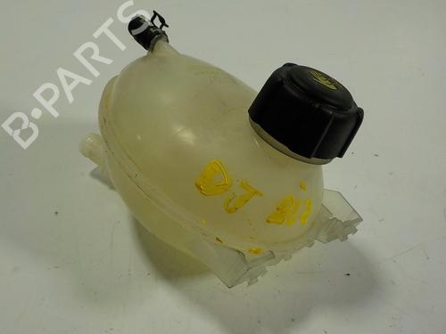 Expansion tank DACIA SANDERO II  | BP11189911C120