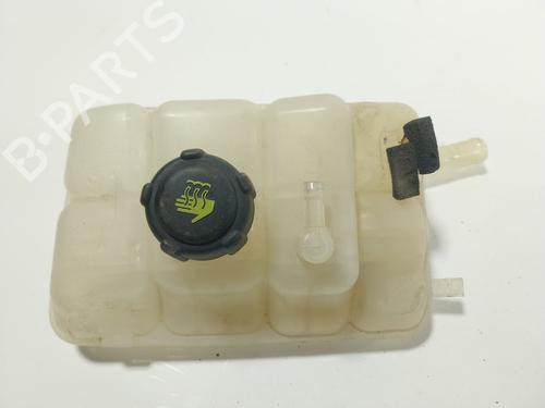 Expansion tank RENAULT MEGANE IV Hatchback (B9A/M/N_) 1.8 RS TCe 280 (B9M6) | BP24574420C120 