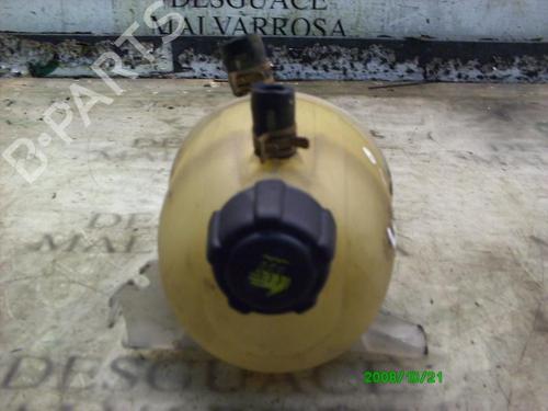 Ekpansionstank Ekpansionstank RENAULT CLIO II (BB_, CB_) [1998-2016] 3752386 3752386