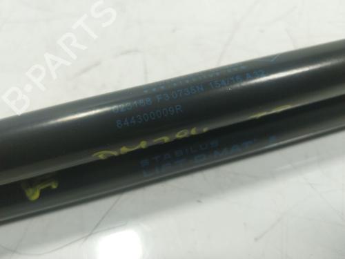 Tailgate lift support RENAULT MEGANE III Grandtour (KZ0/1) 1.5 dCi (KZ09, KZ0D, KZ1G, KZ29, KZ14, KZ1W, KZ10, KZ1F,... | BP17608598C138