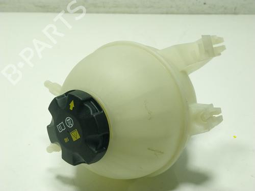 Used Expansion tank BMW X6 (G06, F96) xDrive 30 d Mild-Hybrid (286 hp) 29312020