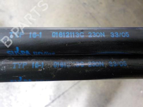 Tailgate lift support LAND ROVER RANGE ROVER SPORT I (L320) 2.7 D 4x4 | BP14288333C138 