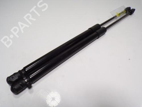 Tailgate lift support AUDI A1 Sportback (GBA)  | BP14288911C138 