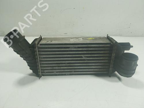 Intercooler Intercooler DS DS 5 (KF_) 2.0 BlueHDi 150 (150 hp) 16876488 16876488