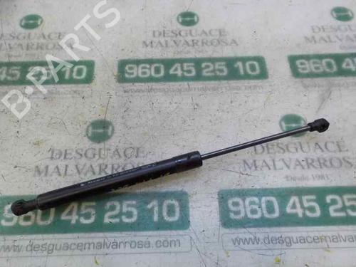 Gasfjeder motorhjelm RENAULT CLIO IV (BH_) [2012-2021]  14284734