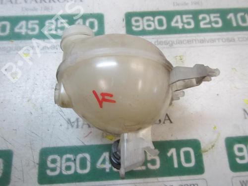 Expansion tank PEUGEOT 208 I (CA_, CC_) 1.6 HDi / BlueHDi 75 | BP3879381C120