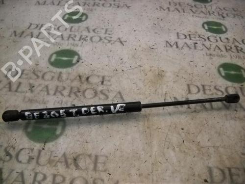 Used Tailgate lift support RENAULT CLIO II (BB_, CB_) [1998-2016]  14266561