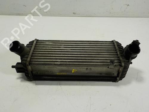 Used Intercooler KIA CARENS IV 1.7 CRDi (116 hp) 13883804