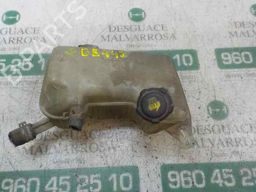 Ekspansjonstank RENAULT SCÉNIC II (JM0/1_) 1.5 dCi (JM02, JM13) (101 hp) 4803462