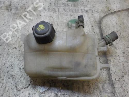 Ekpansionstank Ekpansionstank RENAULT MEGANE III Hatchback (BZ0/1_, B3_) [2008-2026] 3998066 3998066