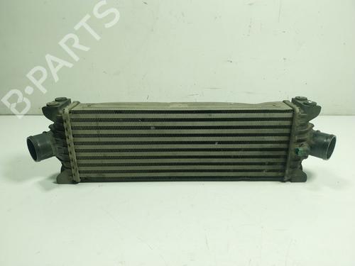 Intercooler FORD TRANSIT CUSTOM V362 Van (FY, FZ) 2.2 TDCi (100 hp) 17018406