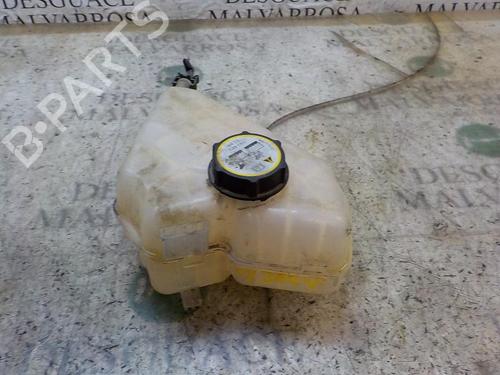 Expansion tank FORD FIESTA VI (CB1, CCN)  | BP3847336C120