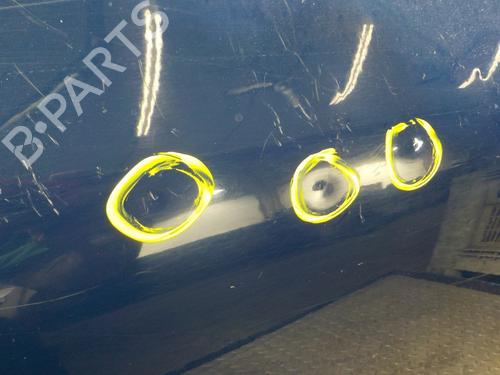 Left rear door CITROËN C4 Picasso II  | BP11193806C4 
