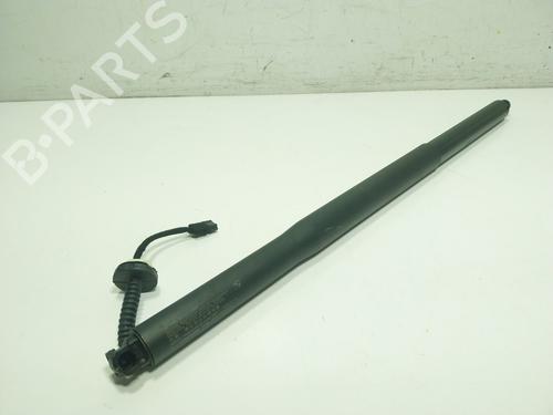 Used Tailgate lift support BMW X6 (G06, F96) xDrive 30 d Mild-Hybrid (286 hp) 29374290