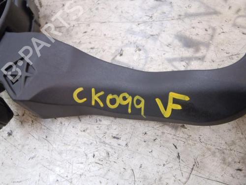 Pedal PEUGEOT 207 (WA_, WC_) 1.6 HDi | BP3819294I4 