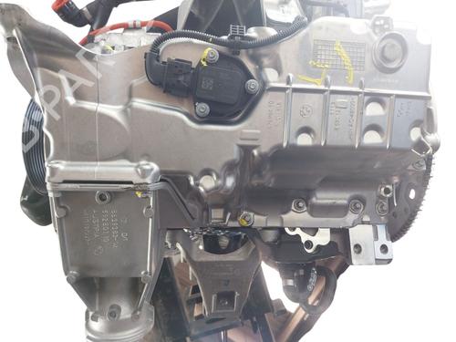 Engine BMW X4 (G02, F98) xDrive 20 d Mild-Hybrid | BP29430080M1 