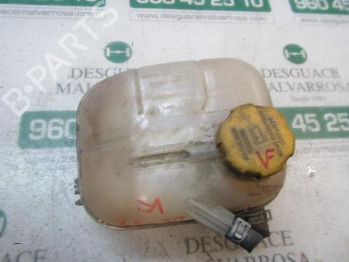 Expansion tank OPEL ZAFIRA / ZAFIRA FAMILY B (A05) 1.7 CDTI (M75) | BP3875006C120 