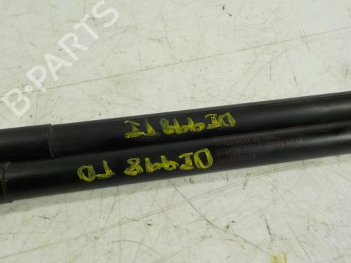 Tailgate lift support NISSAN QASHQAI / QASHQAI +2 I (J10, NJ10, JJ10E)  | BP14287259C138 
