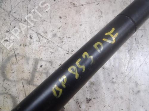 Tailgate lift support CADILLAC SRX 3.6 | BP14273340C138 