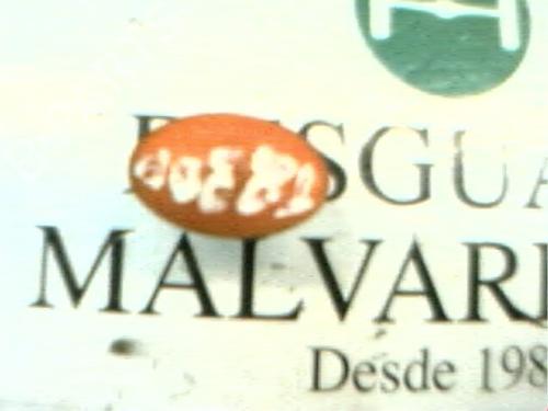 Used Right side indicator Right side indicator FORD MONDEO I (GBP) 1.8 TD (88 hp) 11645317 11645317