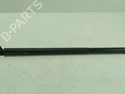 Used Tailgate lift support Tailgate lift support TOYOTA C-HR (_X2_, _H2_) Hybrid (MAXH20) (197 hp) 27922098 27922098