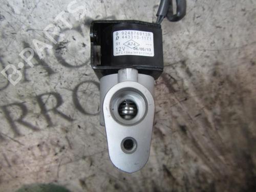 Elektronisk modul RENAULT ZOE (BFM_)  | BP4016924M83 
