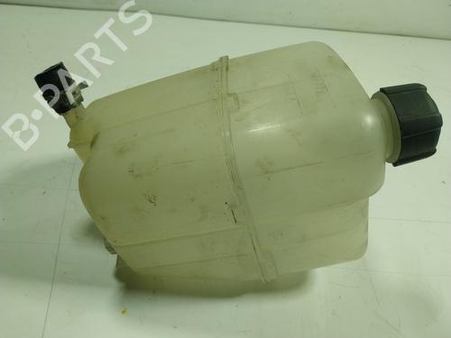 Expansion tank RENAULT KANGOO Express (FW0/1_) Z.E. (FW0Z, FW1Z) | BP17336908C120 