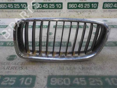 Used Grille Grille 6423351 6423351