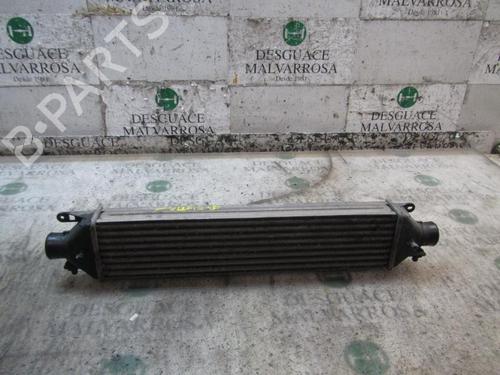 Intercooler FIAT BRAVO II (198_) 1.9 D Multijet (198AXB1A) | BP3842828M30 