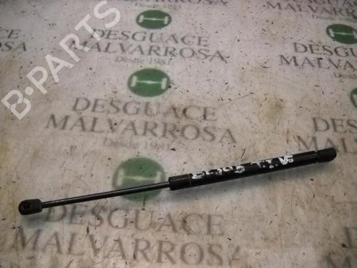 Used Tailgate lift support RENAULT CLIO II (BB_, CB_) [1998-2016]  14266560