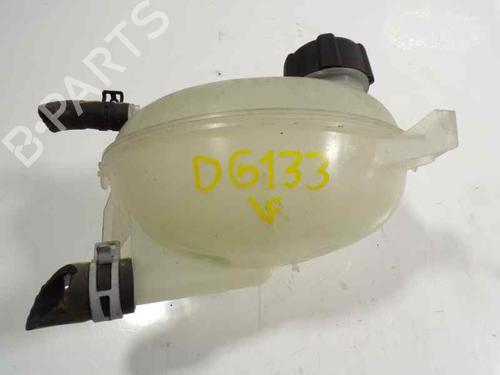 Expansion tank DACIA SANDERO II 1.5 dCi 75 / Blue dCi 75 (B8JW, B8M4, B8AH, B8M7, B8M6) | BP6894325C120