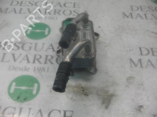 Used Oil radiator Oil radiator MERCEDES-BENZ E-CLASS (W210) [1995-2003] 14292416 14292416