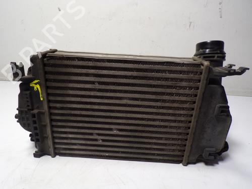 Intercooler RENAULT KADJAR (HA_, HL_)  | BP13810313M30 