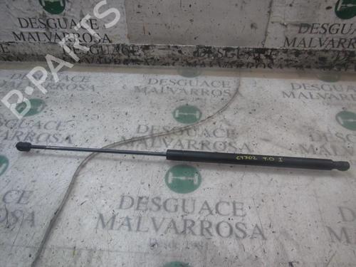 Tailgate lift support FORD KUGA I 2.0 TDCi 1708365