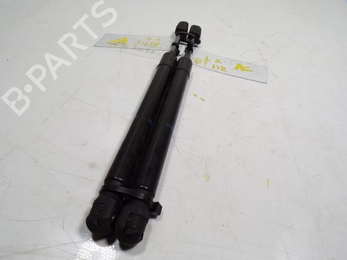 Tailgate lift support AUDI A6 C6 (4F2)  | BP14287950C138 