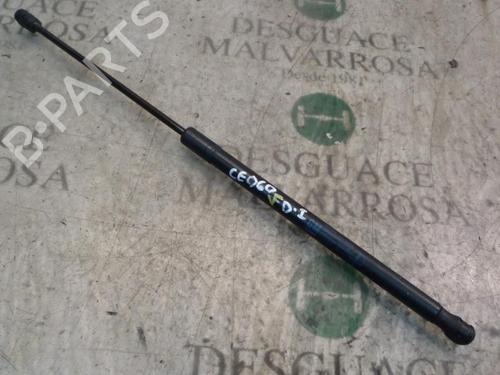 Used Hood lift support OPEL ASTRA H (A04) 1.6 (L48) (105 hp) 14271971