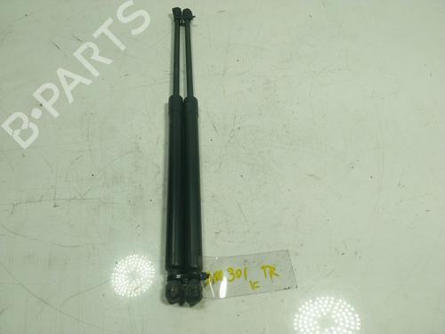 Gassdemper Bakluke RENAULT MEGANE IV Hatchback (B9A/M/N_) [2015-2025]  16470764