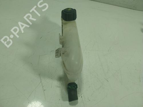 Expansion tank RENAULT ZOE (BFM_)  | BP17920450C120