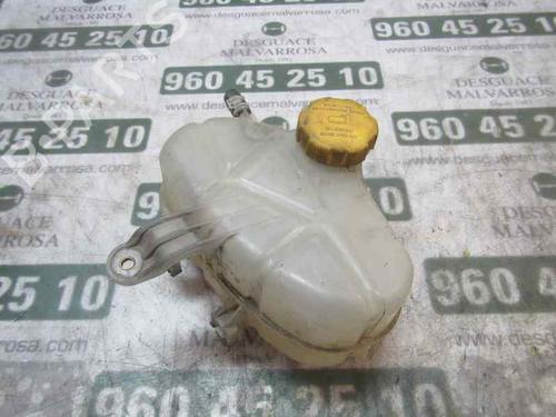 Ekpansionstank OPEL CORSA D (S07) 1.3 CDTI (L08, L68) (75 hp) 3859597